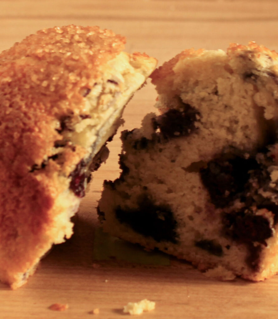 close-up lemon blueberry muffin