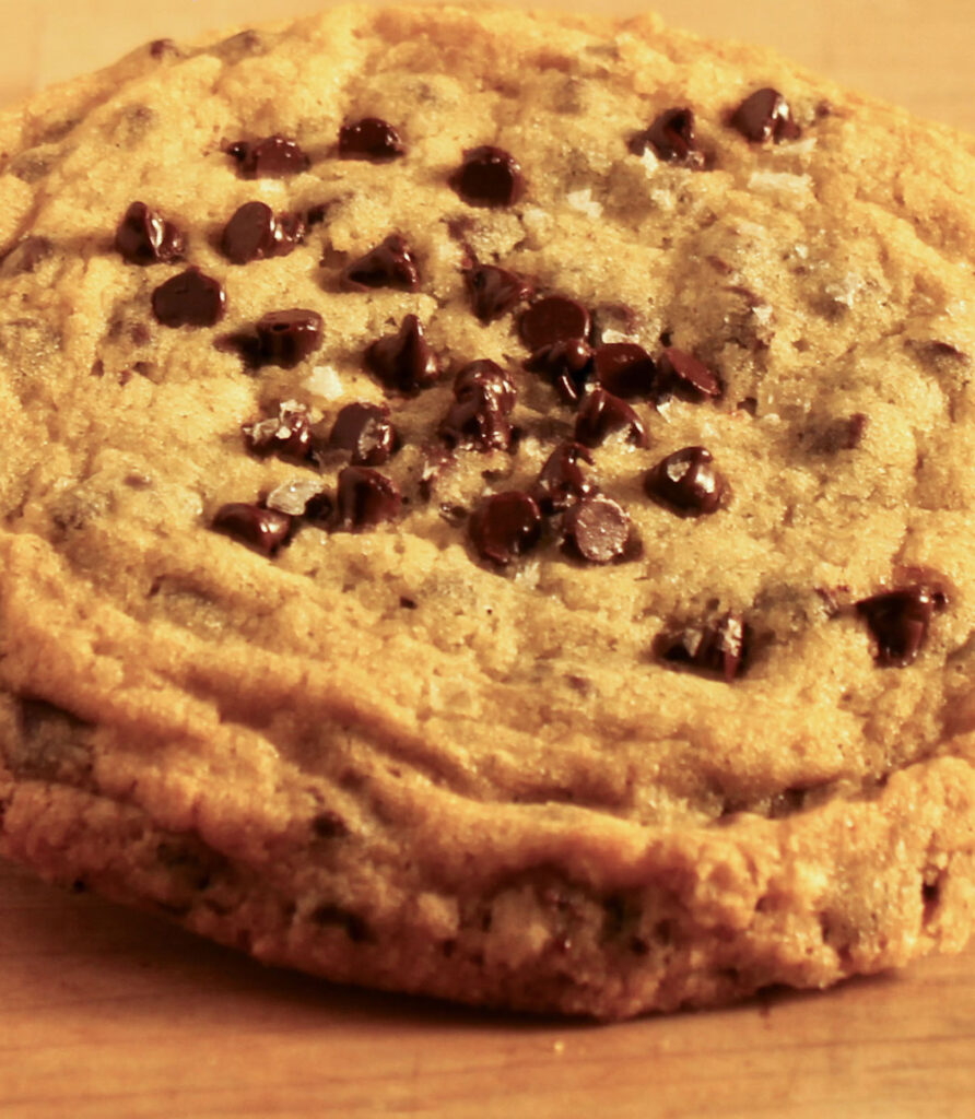 close-up chocolate chip cookie